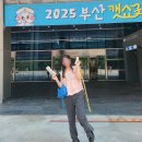 마랑아트 | 부산캣쇼, 이자벨마랑 블라우스, 후기 리뷰