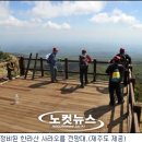 사라 노컷뉴스