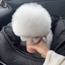 레이크펫스토어 - 수원시 영통구 법조로 25 | 레이크펫스토어