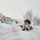 서윤목장 이미지