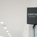 서울오라클치과병원 네이버블로그