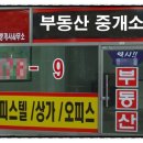 삼일행정사 이미지