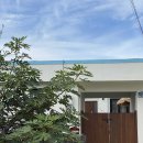 느릿느릿 김녕집 이미지