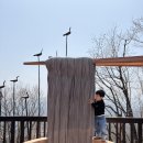 메밀카 | 대구 팔공산 케이블카 타고 솔마루식당 플라잉메밀 먹고 가족나들이