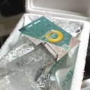 크림오브 크림 푸딩 후기, 양까지 푸짐한 떠먹는 케이크(블루베리 치즈케이크)