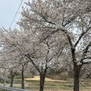 용담체련공원 네이버블로그