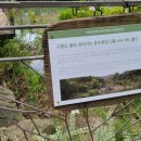 번지없는식당 이미지