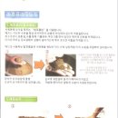 기쁨어린이집 이미지