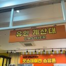 수영역 고양이카페 피피피 펫스테이션점 후기｜성인존 무릎냥 폭발한 주말 힐링