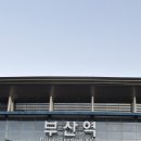 01-38 동구 | [후쿠오카] 뉴카멜리아호 부산항 편도 1등실 2인 탑승 솔직 후기☆