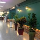 효사랑가족요양병원 이미지