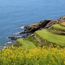 서경렌트카 이미지