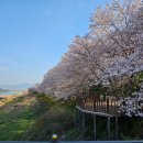 지리산호수공원 Daum카페
