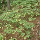 서석농장 이미지