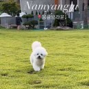 몽글 몽글 이미지