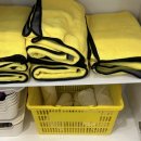 다다펫스파 이미지