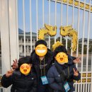 내포종묘농약사 | [충청 솔루니독서논술 체험학습] 청와대와 종묘, 그리고 연극 공연 후기!!!