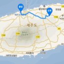 다희연 티 뮤지엄 이미지