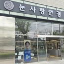 대구 북구 고성동안경 눈사랑안경원 선글라스 행사중 구매 후기