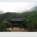 토지초교 이미지