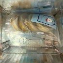 놀면멍하냥 | 강아지 수제케이크 다이어트 간식 &#34;놀면멍하냥&#34; 후기