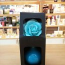 장미화분 모양 석고방향제 이미지