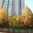 영일초교 이미지