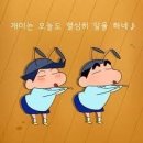 내가 한 알바 후기들_국가근로, 인포테스크, 사무직 등등