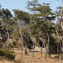 금마3농장 이미지