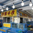 대천항 | 대천항 생새우 구매 솔직후기 +구매팁