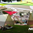 게으름의 낭만 이미지