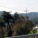 충남 청양군 칠갑산(561m) 산행기 이미지