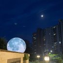 기타 조형물 이미지