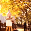 시온스튜디오 이미지