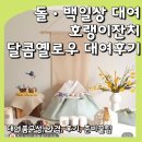 (사)사랑의손길새소망 | 100일상 대여 호랭이잔치 후기 (달콤시리즈 구성, 셀프 백일상 준비 꿀팁)