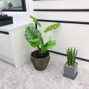 오산 피부샵 이날에스테틱 피그세닌으로 되찾은 촉촉함
