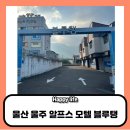 알프스모텔 | 울산 울주 알프스 모텔 블루탱 후기