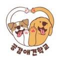 공감애견학교 이미지