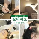 작동 센트럴세탁 | 대전두피관리 모바이오 두피케어 솔직후기