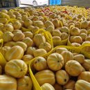 빈이네농장 이미지