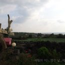 일출언덕신산게스트하우스 네이버블로그