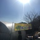 안계농장 이미지