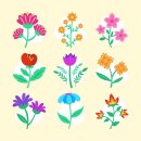 선화한약국 이미지