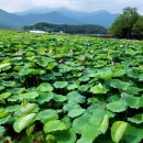 밀양아리나관광안내소 이미지