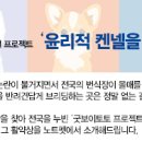 도그아트켄넬 이미지