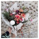 디스베리데이 이미지