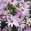 금용농장 이미지