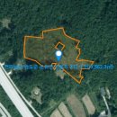 완도공인중개사사무소 이미지