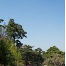 수복천 입구 이미지