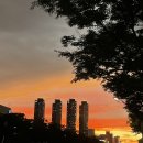 BR뇌교육 수성지점에서 가족 뇌파 검사받고 온 후기